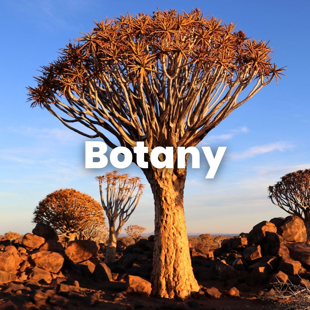 Botany