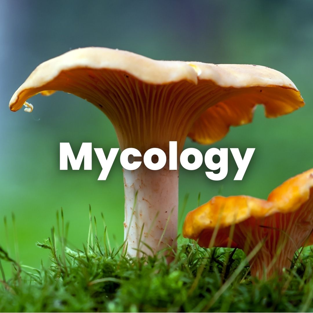 Mycology