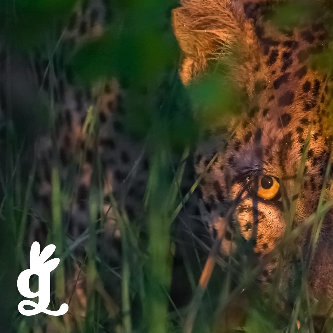 Big Five Handwriting Cards