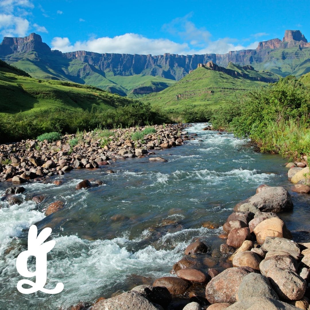 Land / Air / Water Sorting Cards