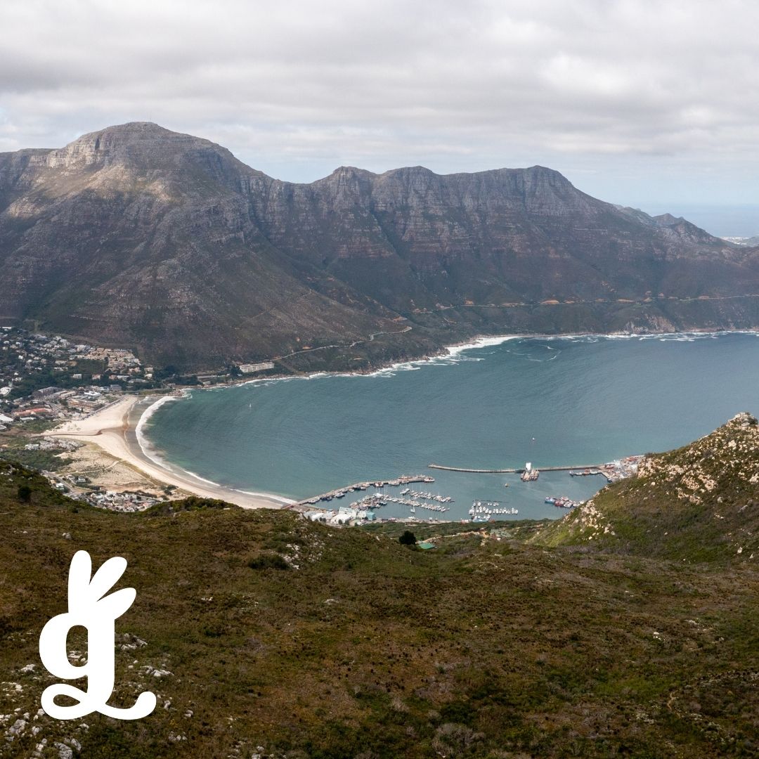 African Land & Water Form Three-Part Cards