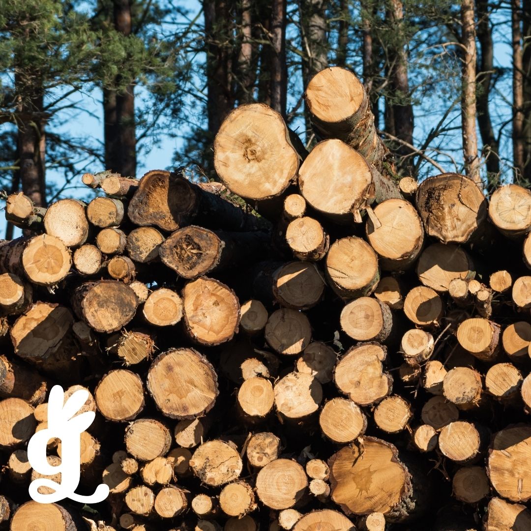 Resources & Materials Matching Cards