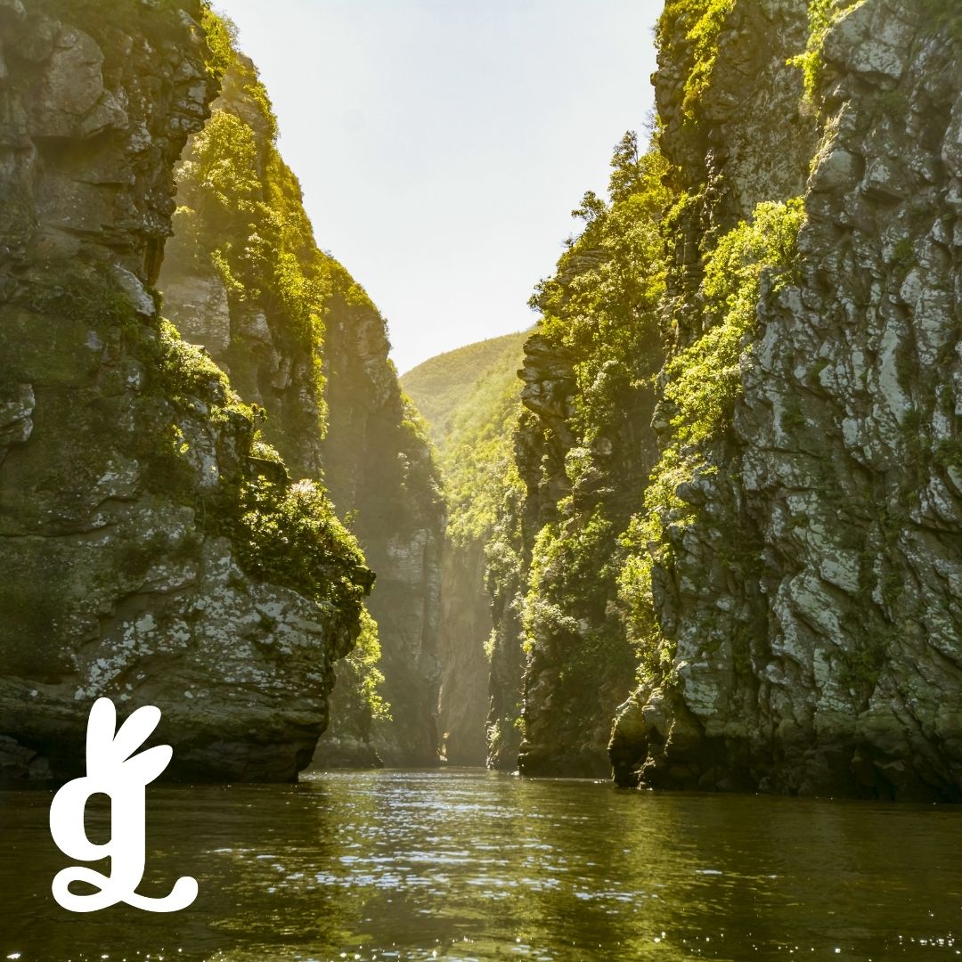 South African National Parks Three-Part Cards