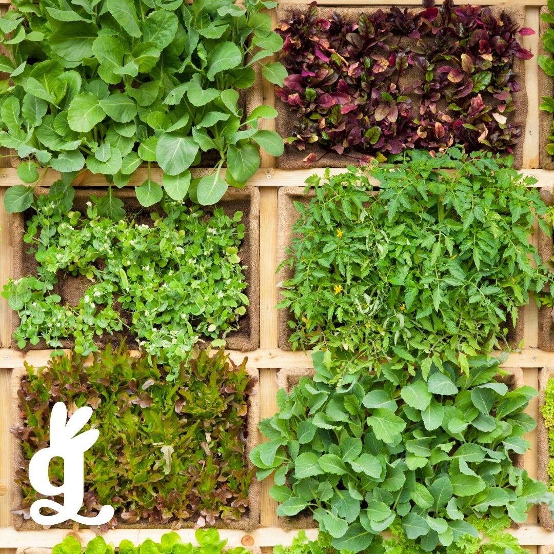 Types of Food Frieze