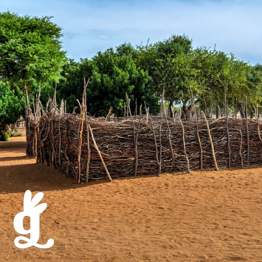 Wild and Domestic Animals Sorting Cards